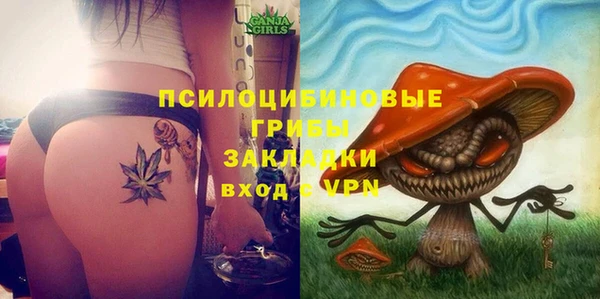 сатива Балахна